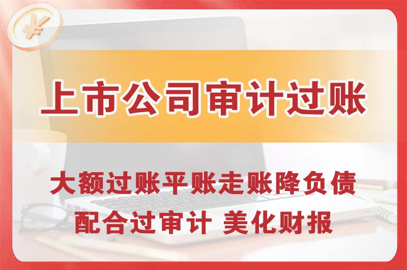 舒兰上市公司审计过账